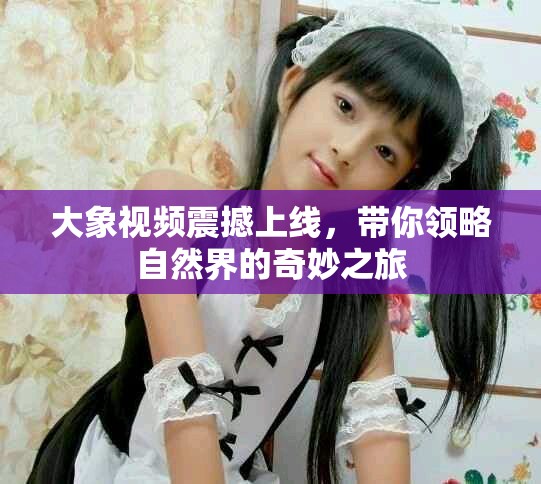 大象視頻震撼上線，帶你領(lǐng)略自然界的奇妙之旅