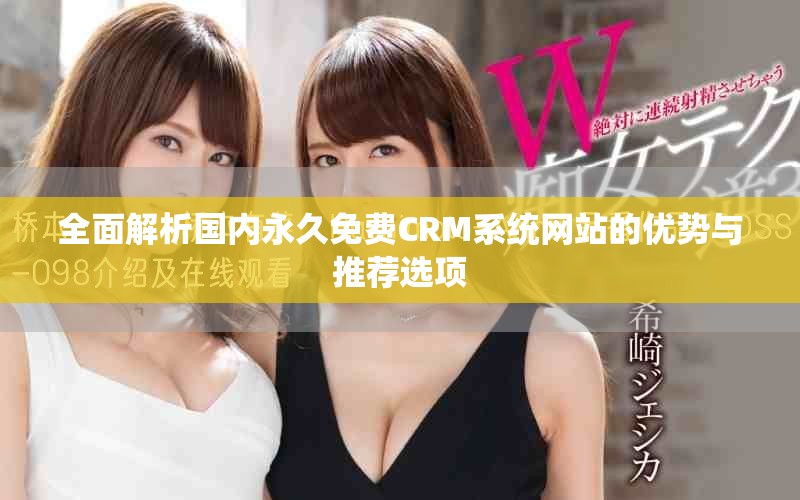 全面解析國(guó)內(nèi)永久免費(fèi)CRM系統(tǒng)網(wǎng)站的優(yōu)勢(shì)與推薦選項(xiàng)