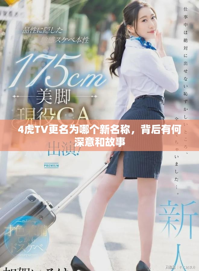 4虎TV更名為哪個新名稱，背后有何深意和故事