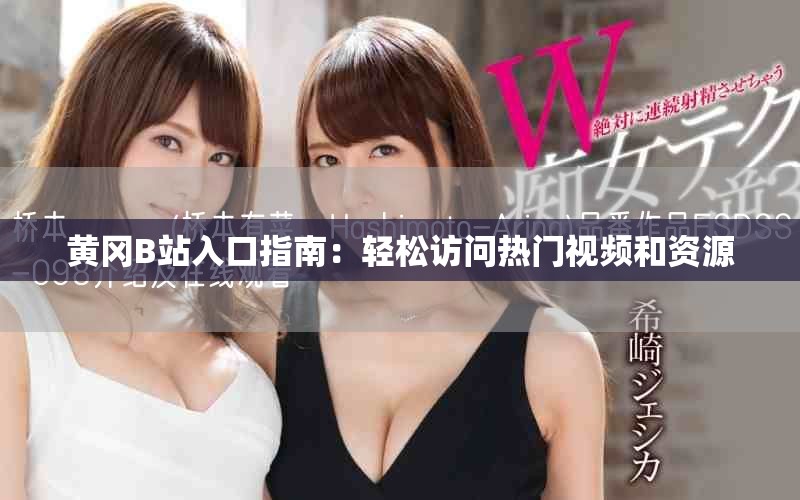 黃岡B站入口指南：輕松訪問熱門視頻和資源