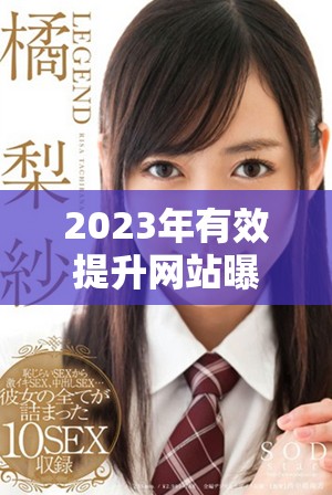 2023年有效提升網(wǎng)站曝光率的多元推廣入口分析與建議