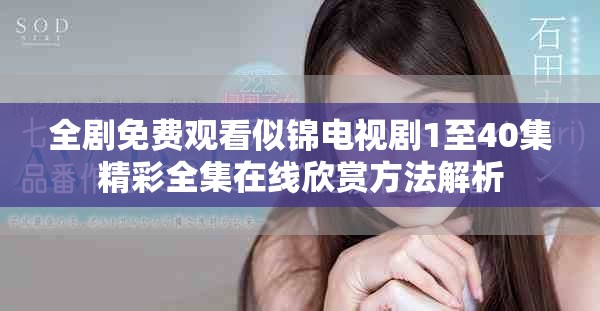 全劇免費觀看似錦電視劇1至40集精彩全集在線欣賞方法解析