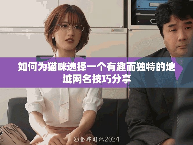 如何為貓咪選擇一個有趣而獨特的地域網(wǎng)名技巧分享