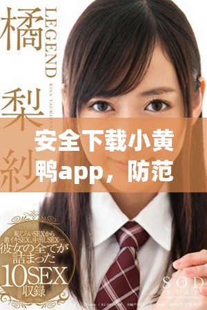 安全下載小黃鴨app，防范風(fēng)險(xiǎn)軟件輕松安裝指南