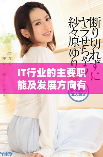 IT行業(yè)的主要職能及發(fā)展方向有哪些值得關(guān)注的領(lǐng)域和機(jī)會(huì)