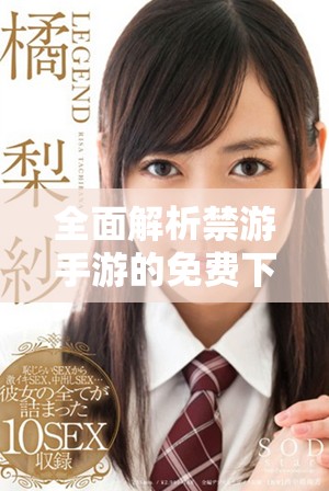 全面解析禁游手游的免費下載資源與風(fēng)險注意事項