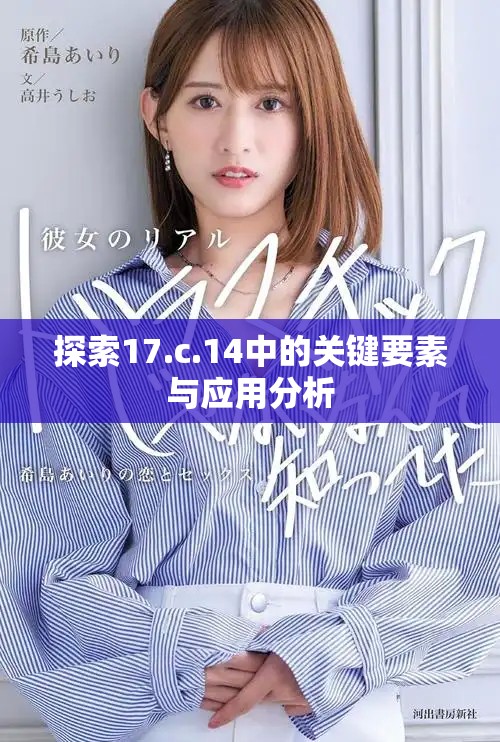 探索17.c.14中的關(guān)鍵要素與應(yīng)用分析