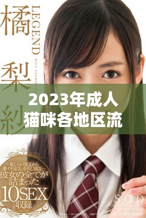2023年成人貓咪各地區(qū)流行網(wǎng)名大盤點與分析