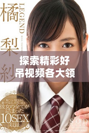 探索精彩好吊視頻各大領(lǐng)域，帶你暢享無限樂趣與創(chuàng)意