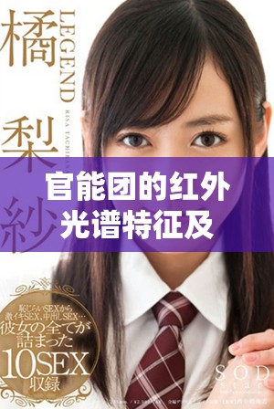 官能團的紅外光譜特征及波峰分析方法探討