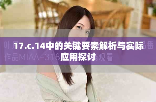 17.c.14中的關(guān)鍵要素解析與實際應(yīng)用探討