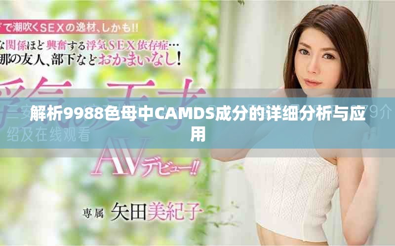 解析9988色母中CAMDS成分的詳細(xì)分析與應(yīng)用