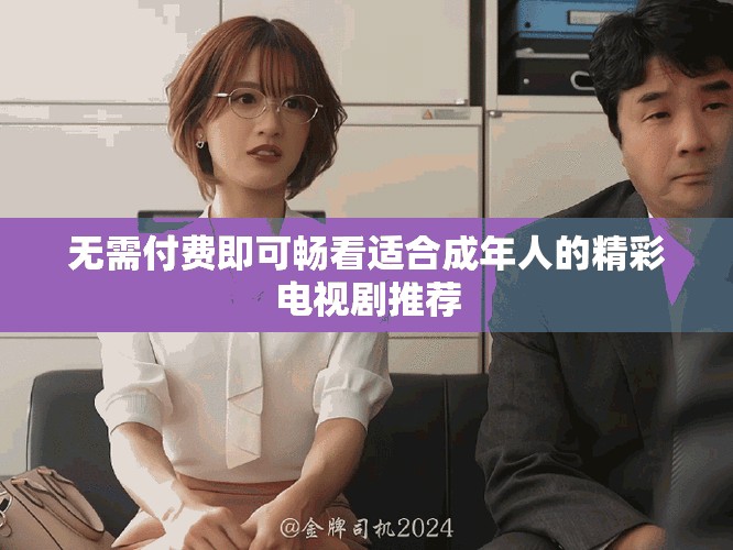 無需付費(fèi)即可暢看適合成年人的精彩電視劇推薦