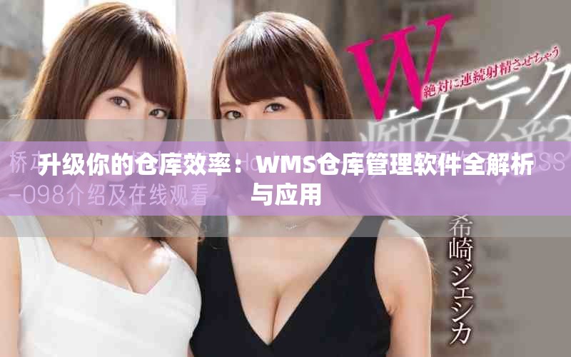 升級(jí)你的倉庫效率：WMS倉庫管理軟件全解析與應(yīng)用