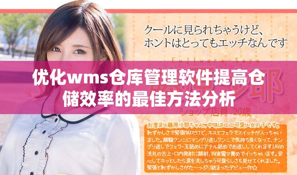 優(yōu)化wms倉(cāng)庫(kù)管理軟件提高倉(cāng)儲(chǔ)效率的最佳方法分析