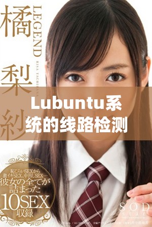 Lubuntu系統(tǒng)的線路檢測(cè)方法與實(shí)踐探索詳解