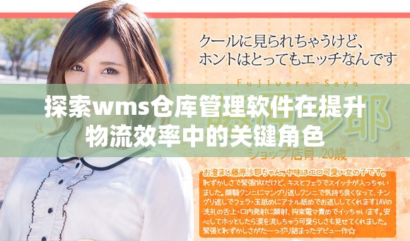 探索wms倉庫管理軟件在提升物流效率中的關(guān)鍵角色
