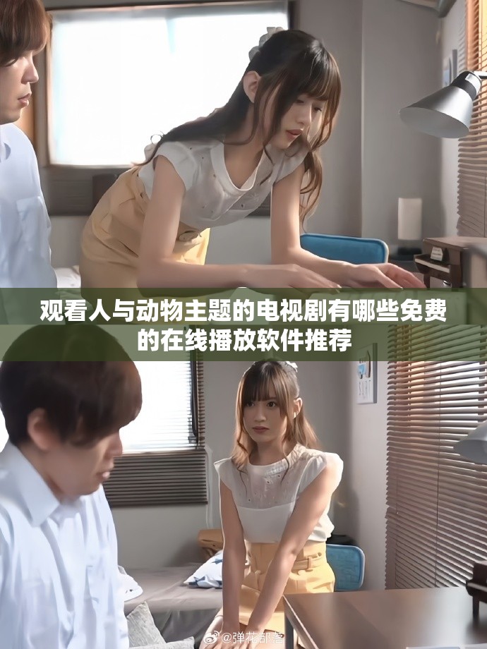 觀看人與動物主題的電視劇有哪些免費的在線播放軟件推薦