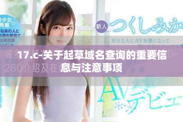 17.c-關(guān)于起草域名查詢(xún)的重要信息與注意事項(xiàng)