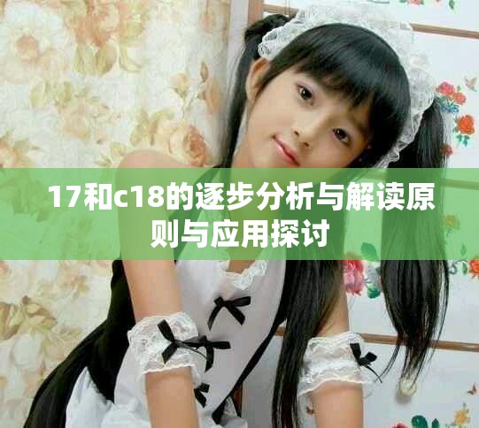 17和c18的逐步分析與解讀原則與應(yīng)用探討