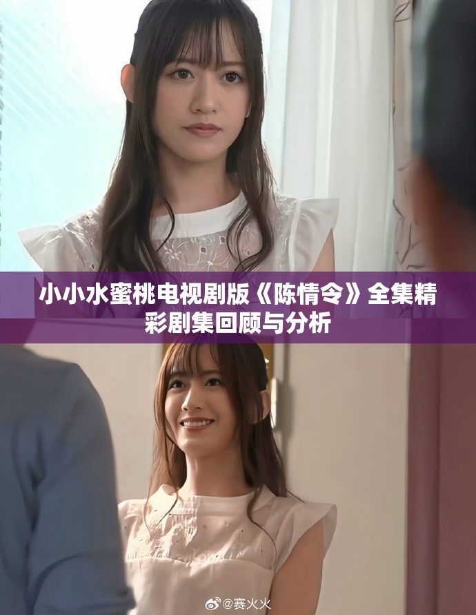 小小水蜜桃電視劇版《陳情令》全集精彩劇集回顧與分析