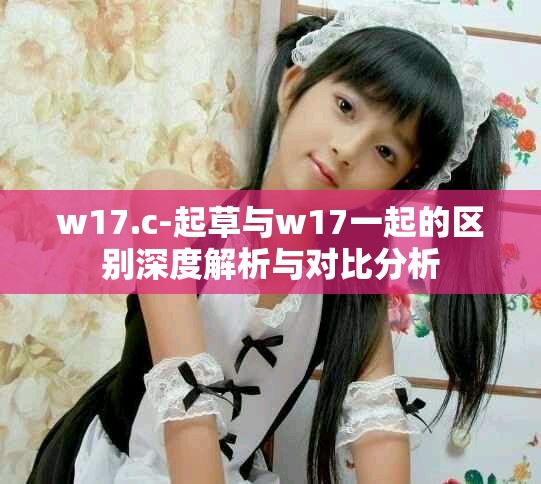 w17.c-起草與w17一起的區(qū)別深度解析與對(duì)比分析