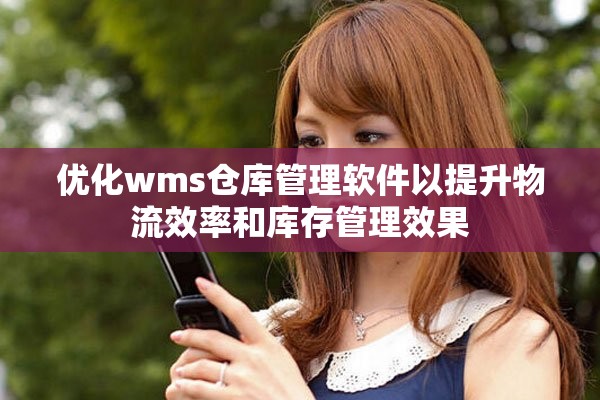 優(yōu)化wms倉庫管理軟件以提升物流效率和庫存管理效果