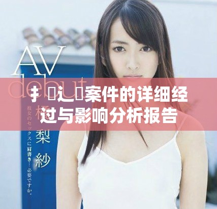 扌喿辶畐案件的詳細經(jīng)過與影響分析報告