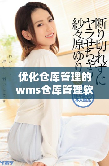 優(yōu)化倉庫管理的wms倉庫管理軟件應(yīng)用解析與推薦