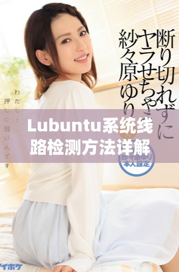 Lubuntu系統(tǒng)線路檢測方法詳解與注意事項分享