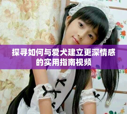 探尋如何與愛(ài)犬建立更深情感的實(shí)用指南視頻