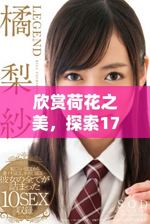 欣賞荷花之美，探索1777年文化底蘊(yùn)與意義
