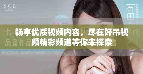 暢享優(yōu)質(zhì)視頻內(nèi)容，盡在好吊視頻精彩頻道等你來探索