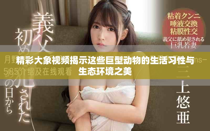 精彩大象視頻揭示這些巨型動物的生活習(xí)性與生態(tài)環(huán)境之美