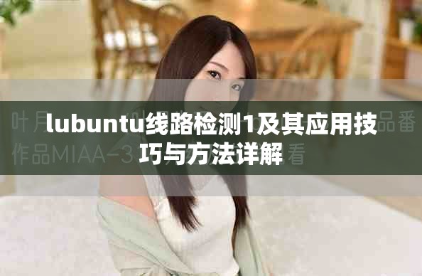 lubuntu線路檢測1及其應用技巧與方法詳解