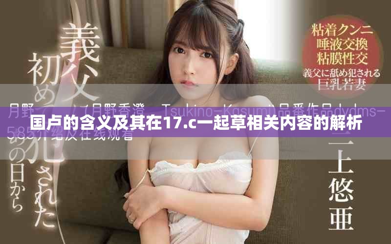國盧的含義及其在17.c一起草相關(guān)內(nèi)容的解析