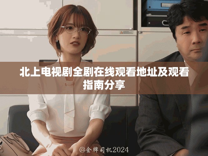 北上電視劇全劇在線觀看地址及觀看指南分享
