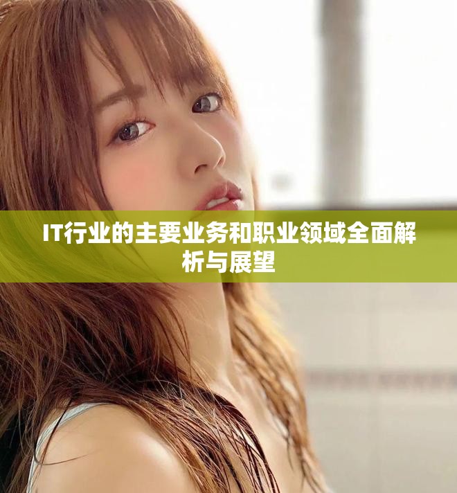 IT行業(yè)的主要業(yè)務和職業(yè)領(lǐng)域全面解析與展望
