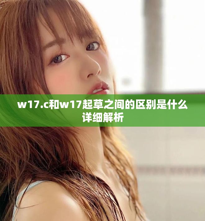 w17.c和w17起草之間的區(qū)別是什么詳細(xì)解析