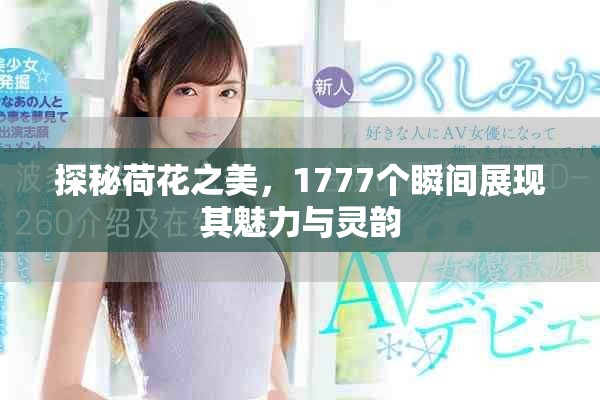 探秘荷花之美，1777個(gè)瞬間展現(xiàn)其魅力與靈韻