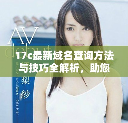 17c最新域名查詢方法與技巧全解析，助您輕松獲取信息