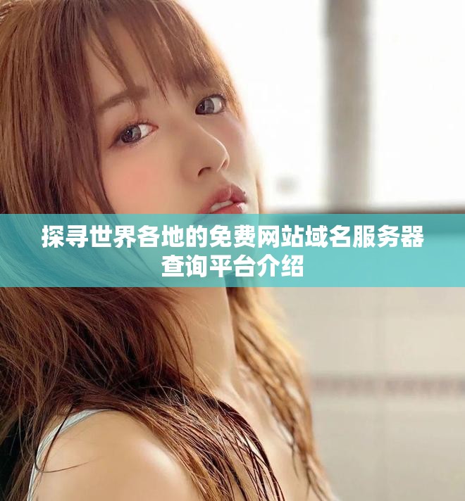 探尋世界各地的免費(fèi)網(wǎng)站域名服務(wù)器查詢平臺介紹