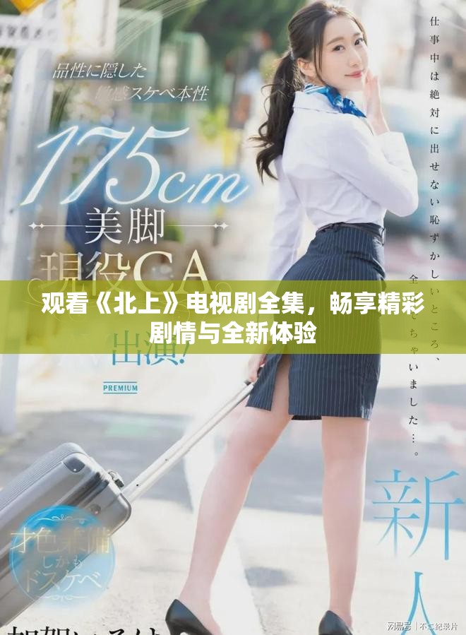 觀看《北上》電視劇全集，暢享精彩劇情與全新體驗(yàn)