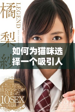 如何為貓咪選擇一個(gè)吸引人的獨(dú)特地域網(wǎng)名