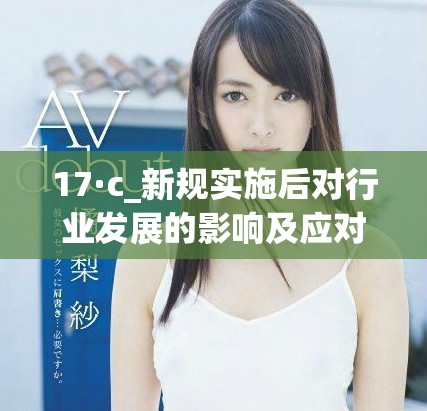 17·c_新規(guī)實(shí)施后對(duì)行業(yè)發(fā)展的影響及應(yīng)對(duì)策略分析