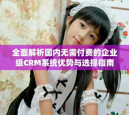 全面解析國內(nèi)無需付費(fèi)的企業(yè)級CRM系統(tǒng)優(yōu)勢與選擇指南