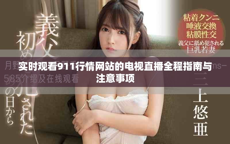 實時觀看911行情網(wǎng)站的電視直播全程指南與注意事項