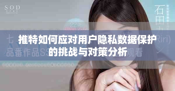 推特如何應(yīng)對(duì)用戶隱私數(shù)據(jù)保護(hù)的挑戰(zhàn)與對(duì)策分析