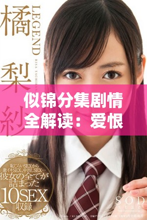 似錦分集劇情全解讀：愛恨交織與命運(yùn)交錯(cuò)的浪漫故事