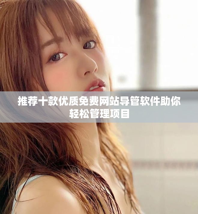 推薦十款優(yōu)質(zhì)免費網(wǎng)站導(dǎo)管軟件助你輕松管理項目